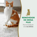 Nature’s Miracle Urine Destroyer Plus for Cats, Enzymatic Formula Tough on Strong Cat Urine And The Yellow Sticky Residue, 1 Gal