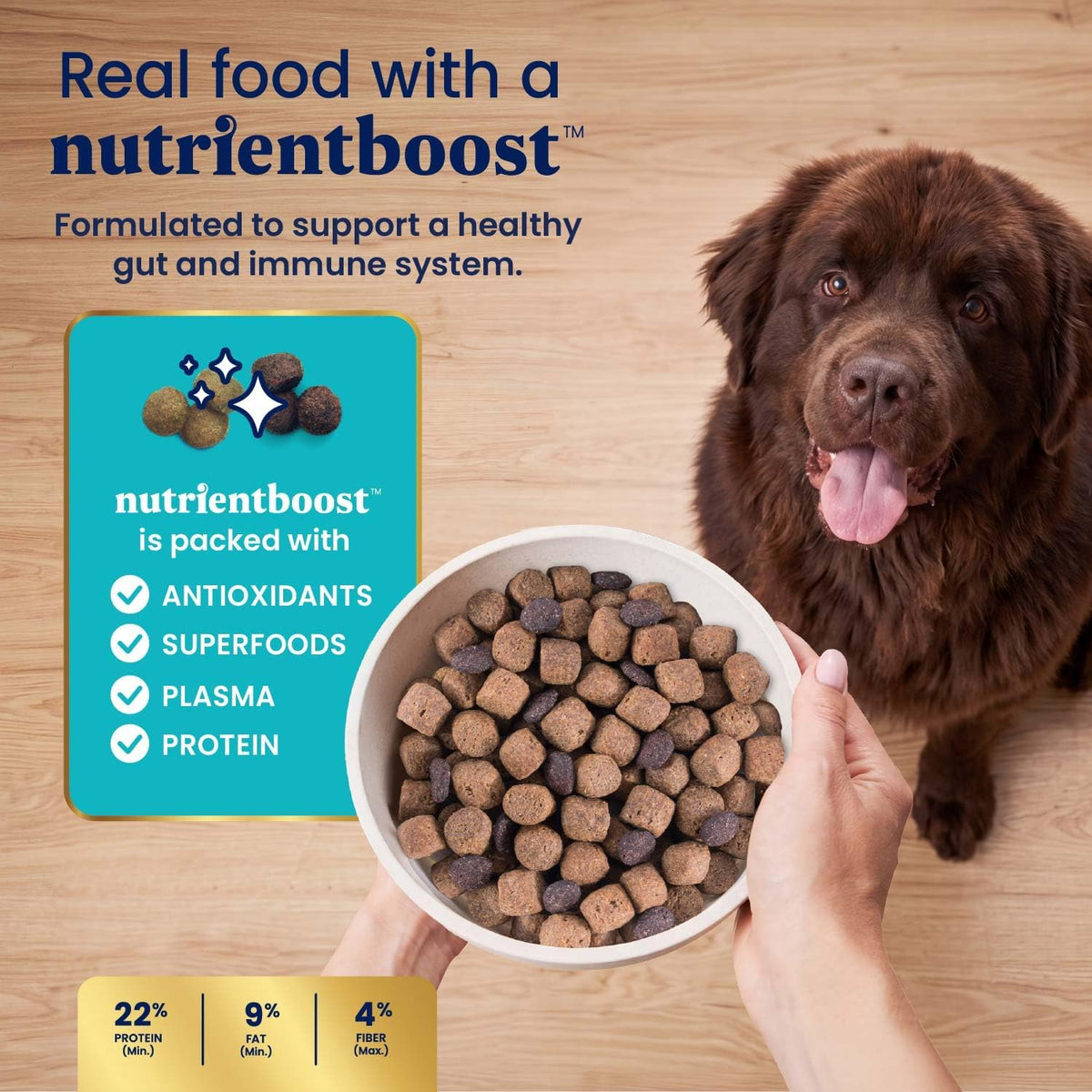 Solid Gold Bison Dry Dog Food for Large Dogs – High Protein, Whole Grain Kibble with Real Bison, Brown Rice & Omega 3 – Large Kibble w/Probiotics for Gut Health - Adult Dog Food - Nutrientboost™–22LB