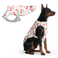 Spark Paws Dog Cooling Vest - SPF 50 UV Sun Protection - Summer Heat Relief Gear for Dogs, Lightweight, Evaporative Cooling - Dog Anxiety Relief Vest During Hot Days - Snowcone, XL