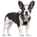 rabbitgoo Dog Harness No Pull with 2 Leash Clips, Adjustable Soft Padded, Reflective Oxford No Choke Pet Vest with Easy Control Handle for Medium Sized Dogs, Black, M