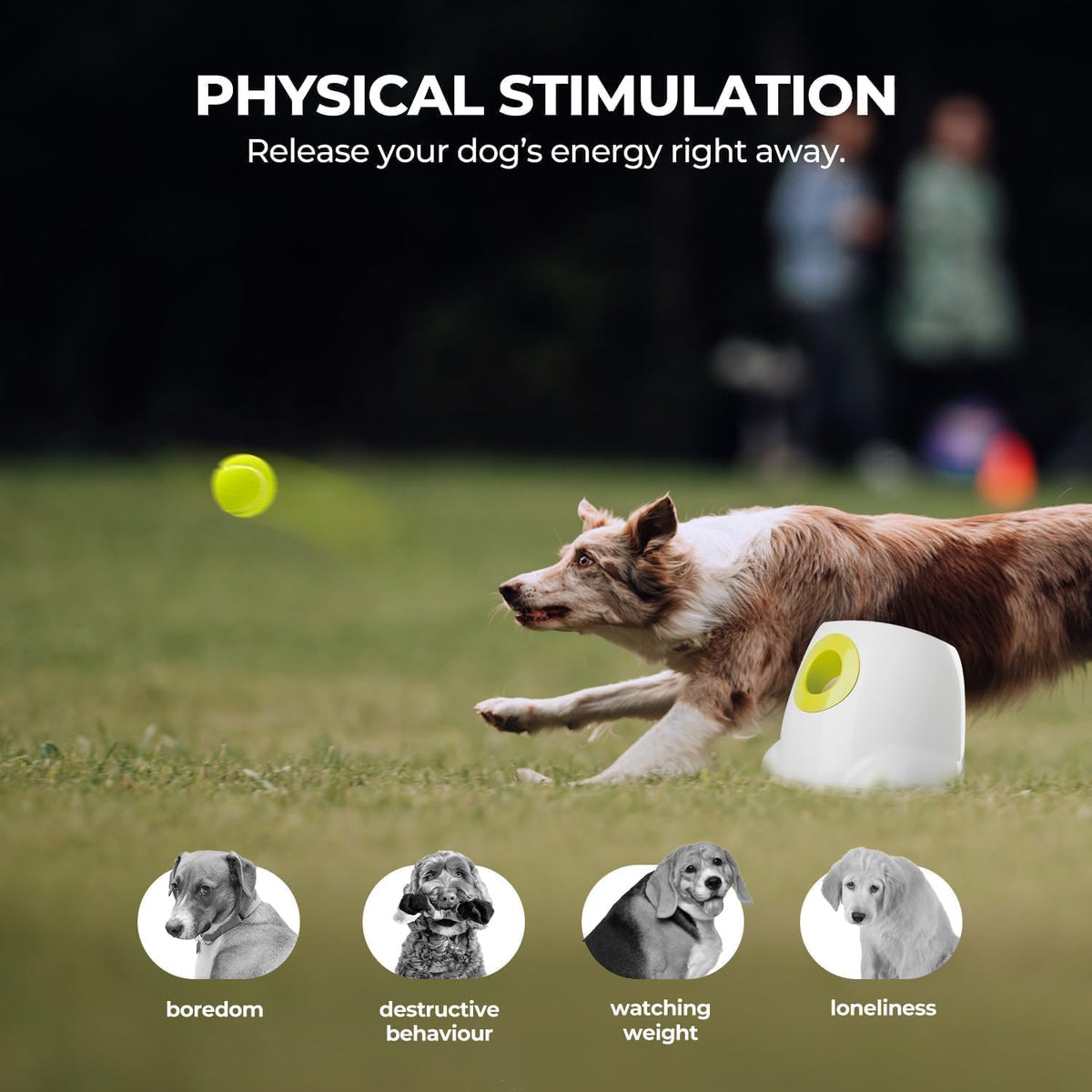 ALL FOR PAWS Automatic Dog Ball Launcher, Interactive Fetch Toy for Medium to Large Dogs, Rechargeable Pet Ball Thrower Machine for Outdoor Play, 6 Pcs 2.5-Inch Balls Included