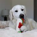 CHEWFFON Interactive Snuffle Dog Toy, Enrichment Treat Hiding Puzzle