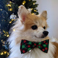 Huxley & Kent Pet Bow Tie for Dogs & Cats, Scottish Check, Small/Medium