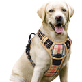 rabbitgoo Dog Harness No Pull with 2 Leash Clips, Adjustable Soft Padded, Reflective Oxford No Choke Pet Vest with Easy Control Handle for Medium Sized Dogs, Black, M