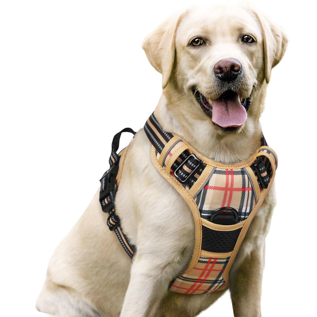 rabbitgoo Dog Harness No Pull with 2 Leash Clips, Adjustable Soft Padded, Reflective Oxford No Choke Pet Vest with Easy Control Handle for Large Dogs, Black, L