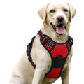 rabbitgoo Dog Harness No Pull with 2 Leash Clips, Adjustable Soft Padded, Reflective Oxford No Choke Pet Vest with Easy Control Handle for Large Dogs, Black, L