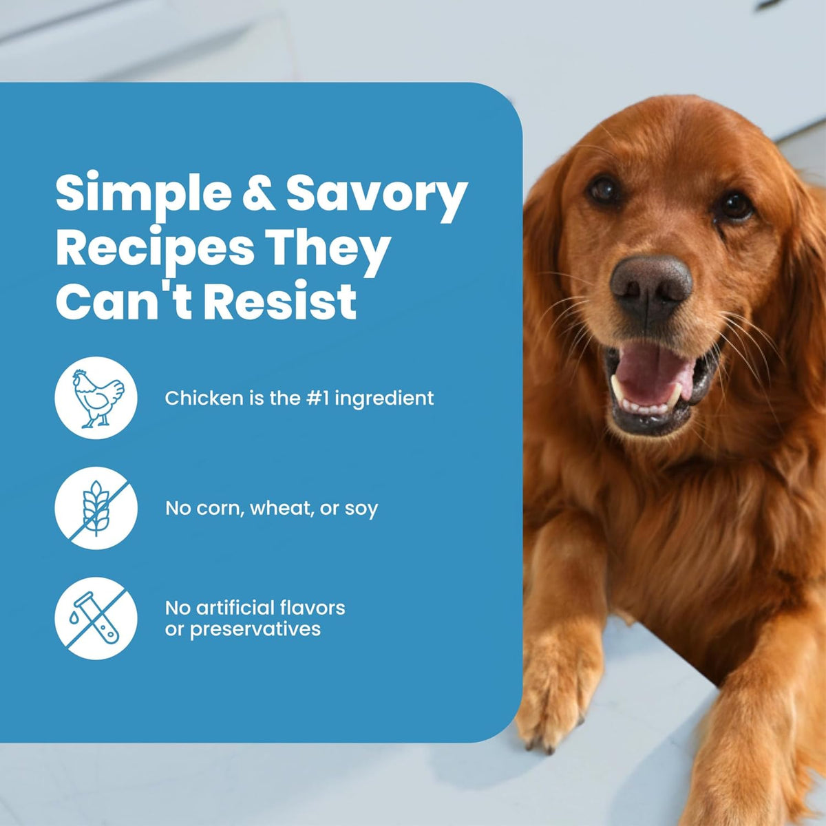 Blue Buffalo Nudges Chicken Jerky Cuts Natural Dog Treats, Tender & Meaty Dog Snacks, Healthy Reward or Training Treat, Made in the USA with Real Chicken, No Artificial Preservatives, 36 oz.