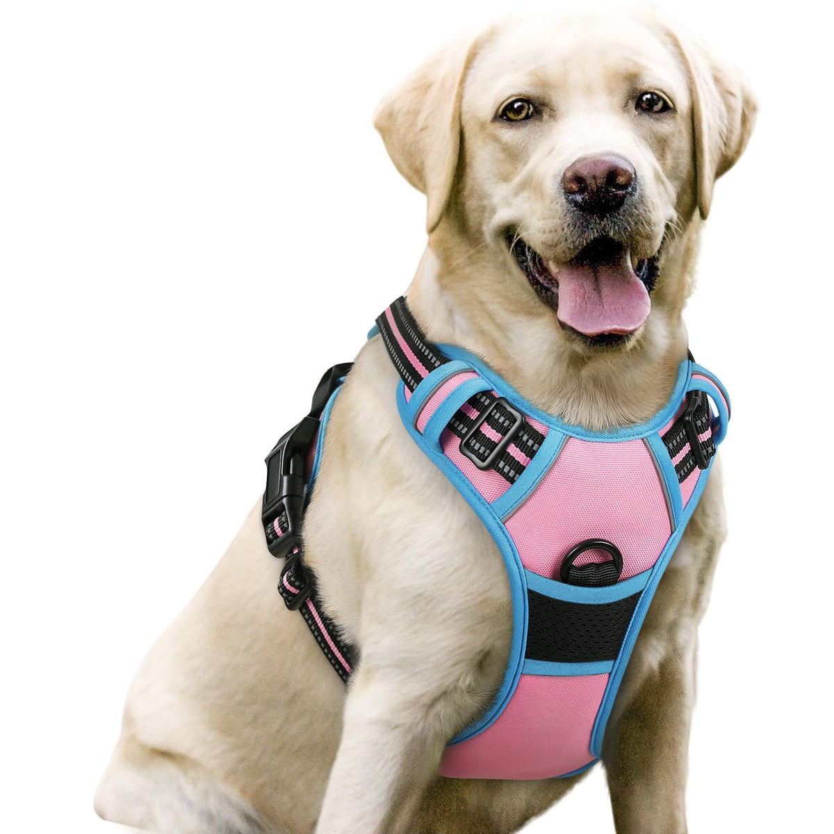 rabbitgoo Dog Harness No Pull with 2 Leash Clips, Adjustable Soft Padded, Reflective Oxford No Choke Pet Vest with Easy Control Handle for Large Dogs, Black, L
