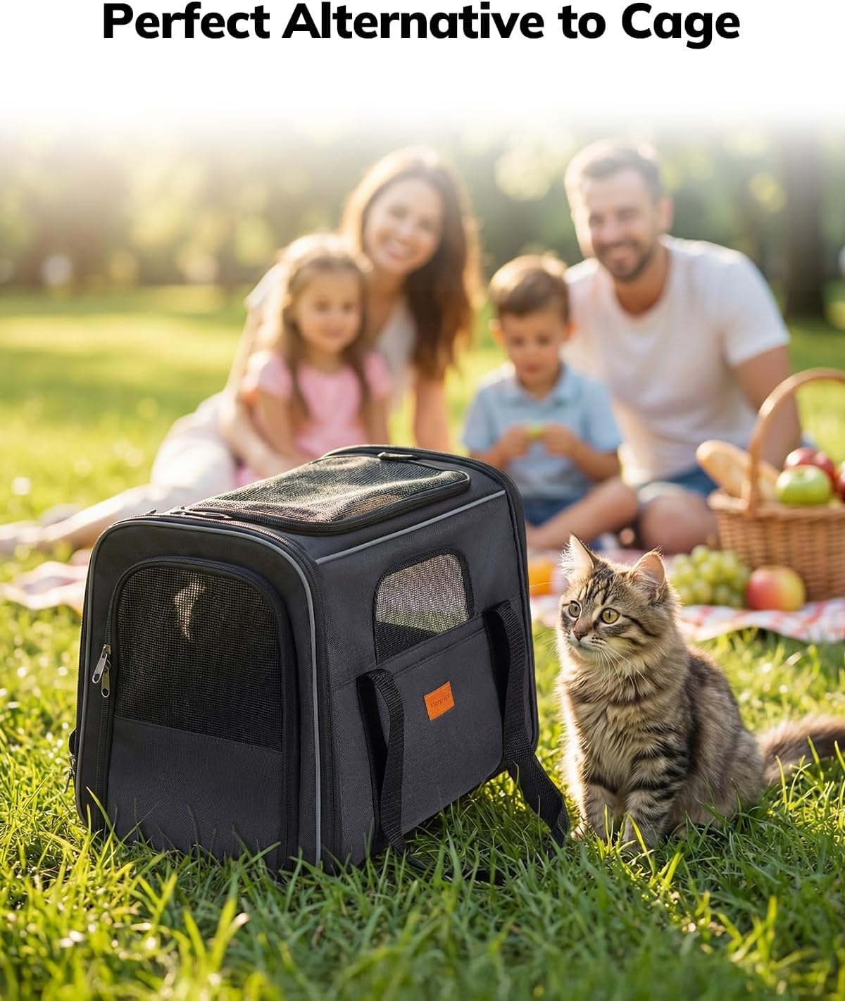 Morpilot Pet Carrier for Large Cats, Puppies & Small Dogs Up to 25lbs, Escape-Proof with Locking Zippers, Dual-Sided Cushion, Safety Buckle for Car & Vet Travel, Includes Foldable Bowl (Dark Gray)
