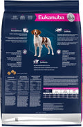 Eukanuba Adult Medium Breed Dry Dog Food, 35 lb bag.