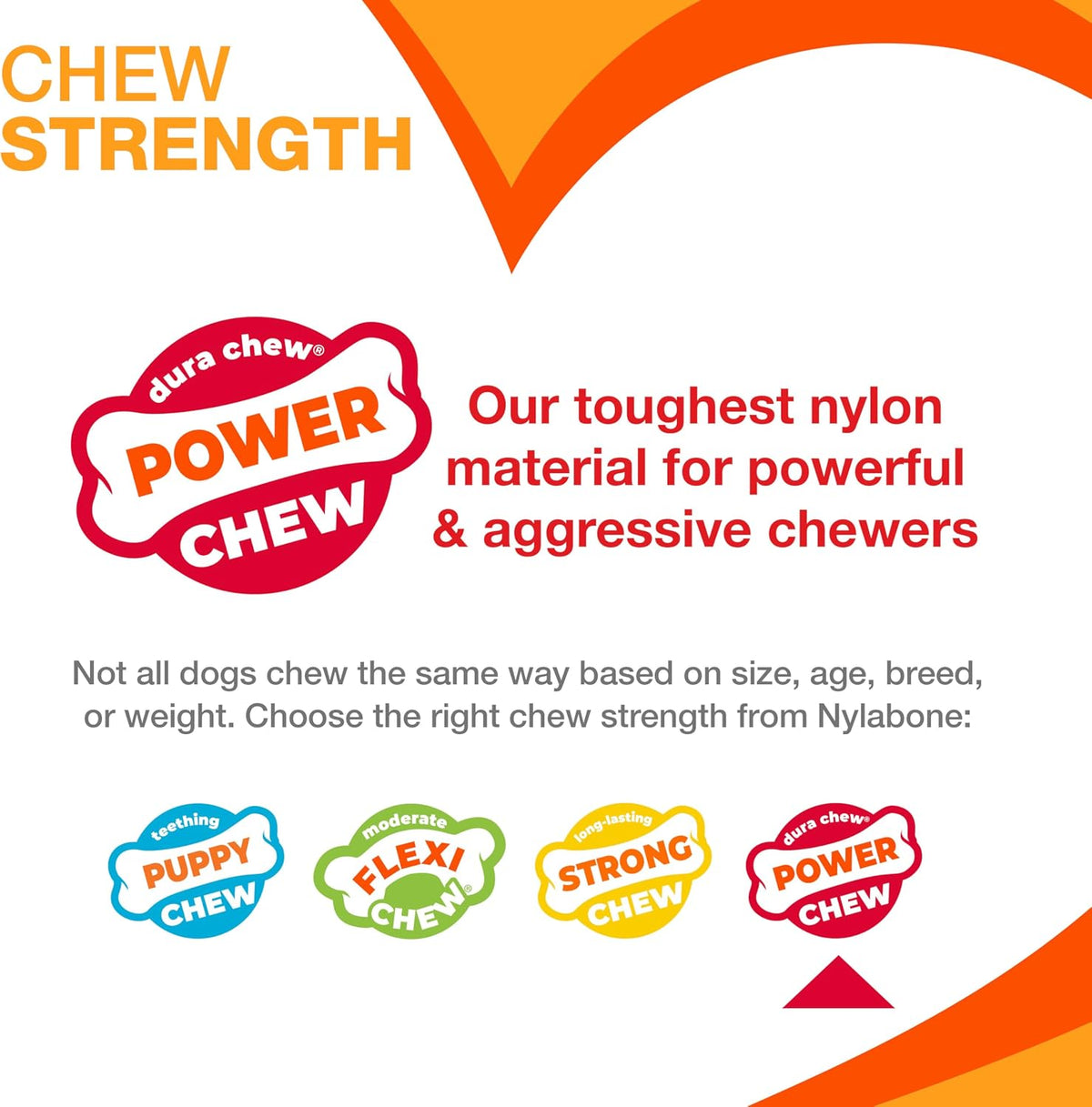 Nylabone Original Bone Power Chew Toys for Dogs, Durable & Tough Dog Toys for Aggressive Chewers, Long Lasting Chicken, Bacon, and Peanut Butter Flavor, Small - Up to 25 lbs, 1 Count