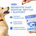 Native Pet Calming Chews for Dogs Medium Breed - 60 Calming Dog Treats - Hemp Seed, Melatonin, L-Theanine - Supports Calm Behavior - 30 Chews