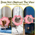 EXPAWLORER Cat Cone Collar Soft, Cat E Collar Recovery After Surgery to Stop Licking, Adjustable Waterproof Cute Neck Elizabethan Pet Kitten Puppy Donut Pillow for Cats Puppy Wound Healing, PinkM