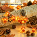 Thanksgiving Decoration 13ft 40 LED Acorn Fall Fairy Lights Battery Powered