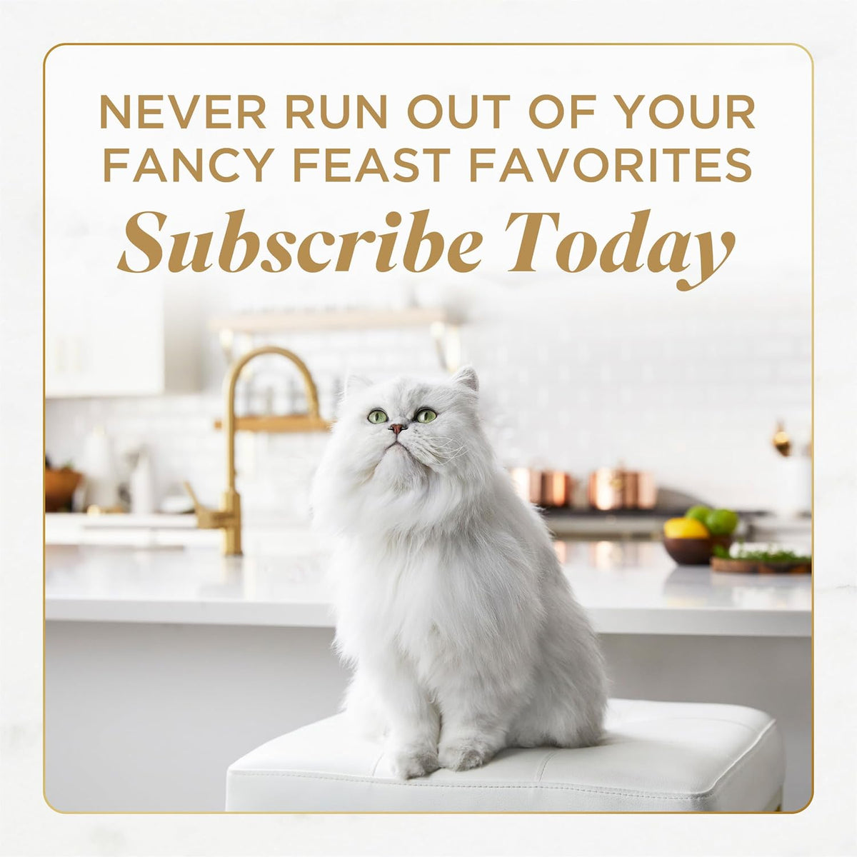 Purina Fancy Feast Petites Seared Salmon Wet Cat Food, 2.8 oz, 12-Pack