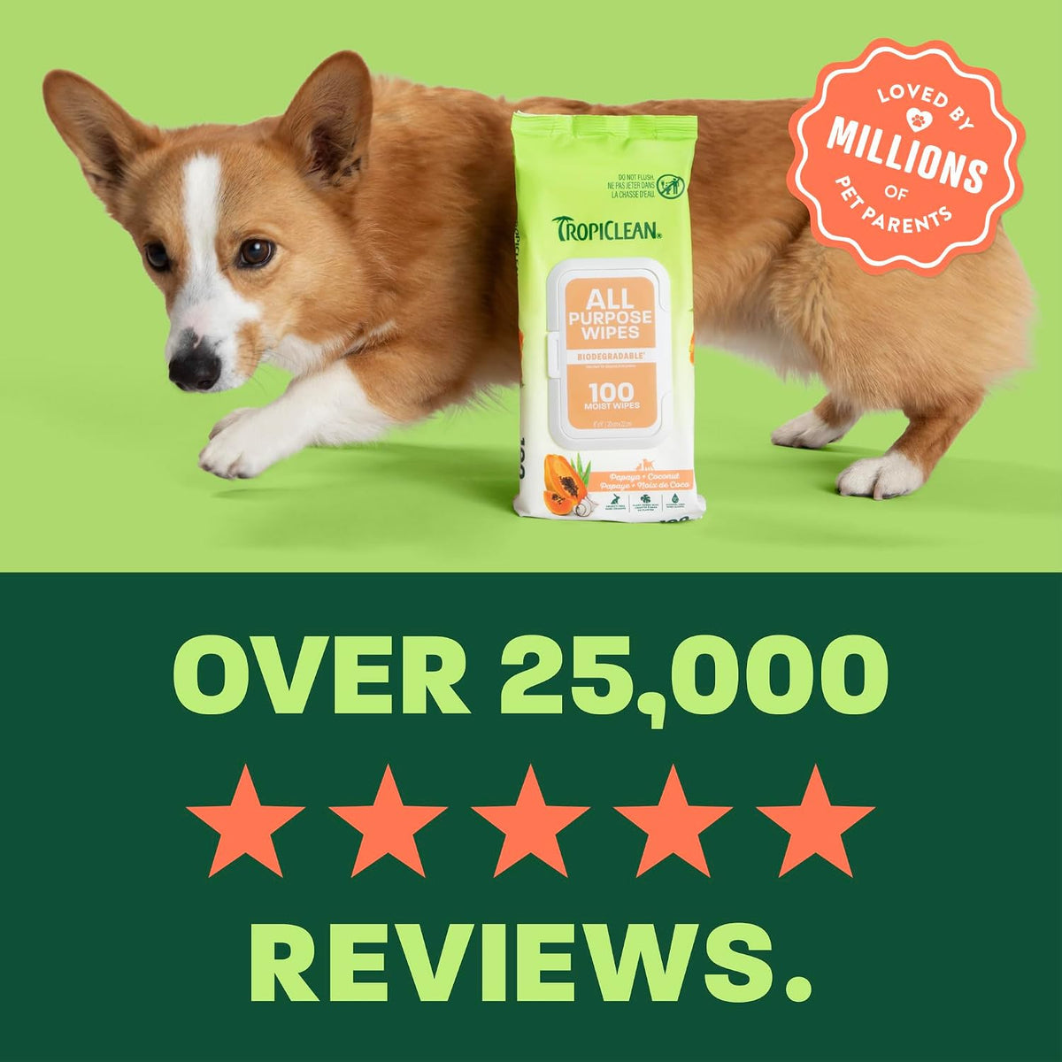TropiClean Papaya & Coconut Luxury 2-in-1 Pet Wipes, 100ct - Wipes for Dogs & Cats - Gently Removes Dirt, Dander & Smells - for Pet Paws, Face, Body & Bottom - Tropical Papaya & Coconut Scent