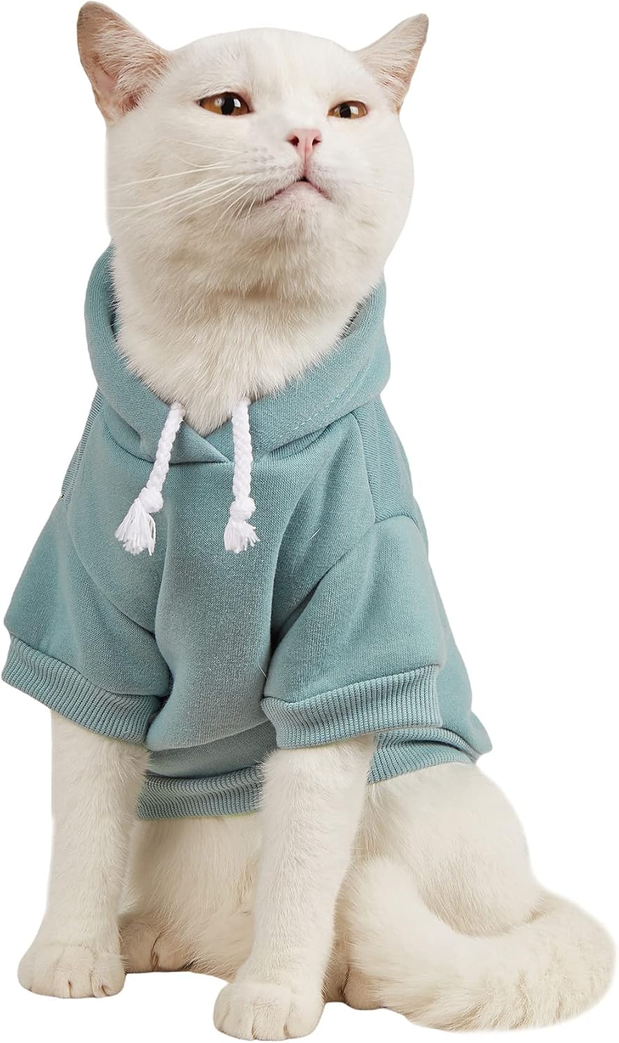 QWINEE Basic Dog Hoodie Sweatshirt Puppy Sweater Warm Cat Costumes Pet Clothes for Chihuahua Puppy Kitten Small Medium Dogs Cadet Blue Medium