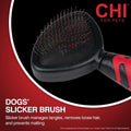 CHI for Dogs Small Dog Detangling Kit, 3-Piece Grooming Set with Detangling Spray, Slicker Brush, and Double-Sided Pin-and-Bristle Brush for Small Breeds with Tangles and Mats, Includes Zipper Pouch