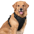 rabbitgoo Dog Harness No Pull with 2 Leash Clips, Adjustable Soft Padded, Reflective Oxford No Choke Pet Vest with Easy Control Handle for Medium Sized Dogs, Black, M