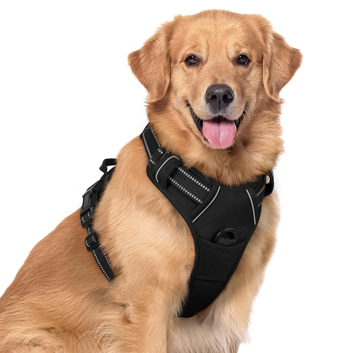 rabbitgoo Dog Harness No Pull with 2 Leash Clips, Adjustable Soft Padded, Reflective Oxford No Choke Pet Vest with Easy Control Handle for Medium Sized Dogs, Black, M