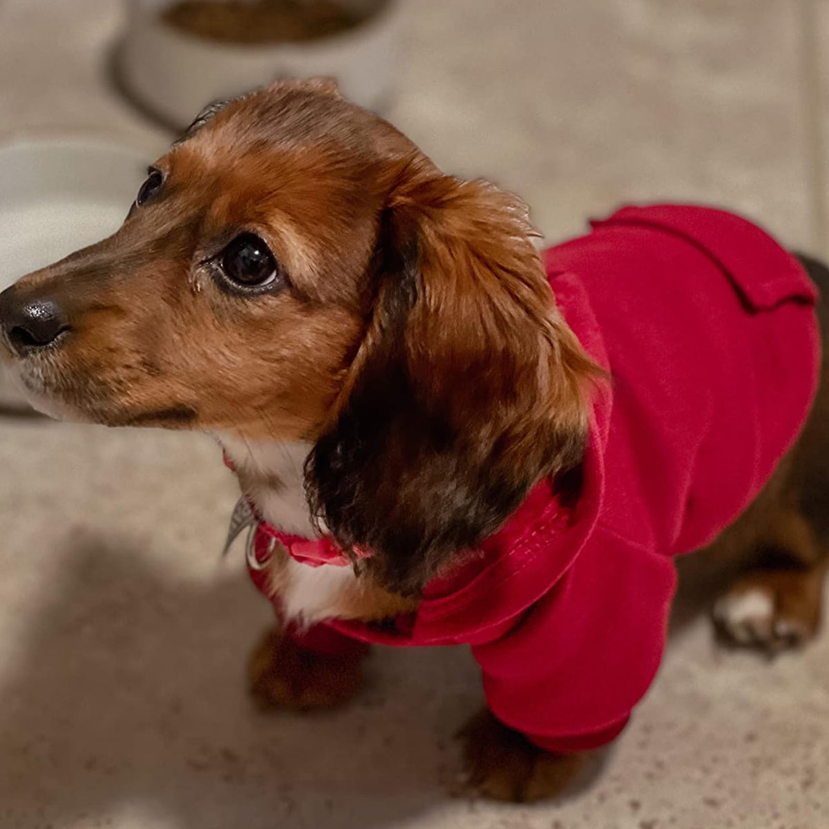 Soft Dog Hoodies for Small Dogs, Warm Fleece Puppy Clothes with Pocket