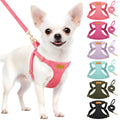 SlowTon No Pull Dog Harness with Leash for Small Medium Dogs, Flower XXS