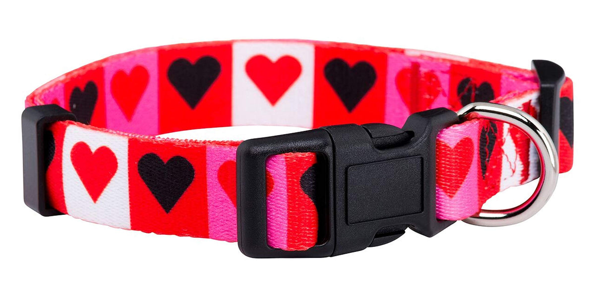Native Pup Halloween Dog Collar- Spooky Fall Themed Horror Costume Collars- Skull, Pumpkin, Ghost, Bat, Witch, Candy Corn, Spider- Adjustable for Small, Medium, Large Breeds (Small, Big Pumpkins)