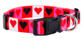 Native Pup Halloween Dog Collar- Spooky Fall Themed Horror Costume Collars- Skull, Pumpkin, Ghost, Bat, Witch, Candy Corn, Spider- Adjustable for Small, Medium, Large Breeds (Small, Big Pumpkins)