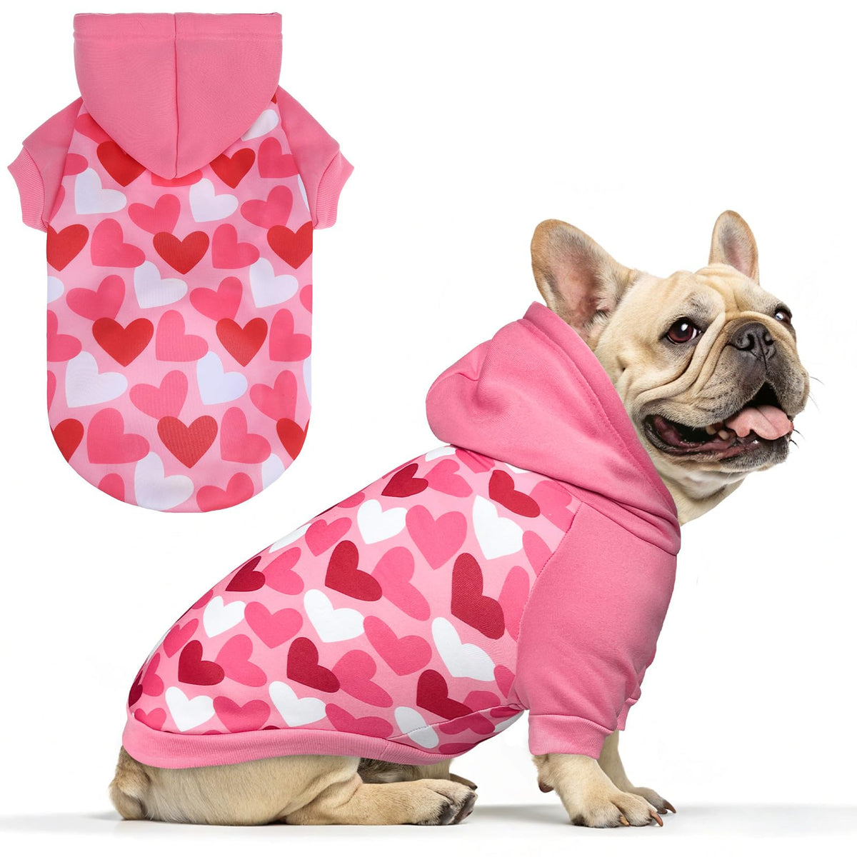 EXPAWLORER Fall Dog Hoodie,Soft Dog Sweater,Winter Autumn Fleece Sweatshirt with Pattern,Pet Clothes Outfits for Puppy,Cat, Small Medium Large Dogs