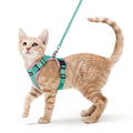 rabbitgoo Cat Harness and Leash Set, Escape Proof Vest, Black | Soft Breathable Mesh, Easy Adjustable Fit, Snap Buckles, Sturdy Clip, Reflective Strips, for Small & Average Cats Walks, Xs