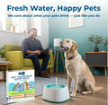 Skyis Pet Fountain Cleaner Tablets 36-Pack Cat & Dog Water Fountain Cleaning Kit Removes Limescale, Mineral Buildup & Biofilm All Brands Compatible Pet-Safe 1 Year Supply