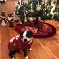 Dog Snow Sweater - Snowman Holiday Xmas Christmas Pet Clothes for Small Dog and Cat (Snowman, S)