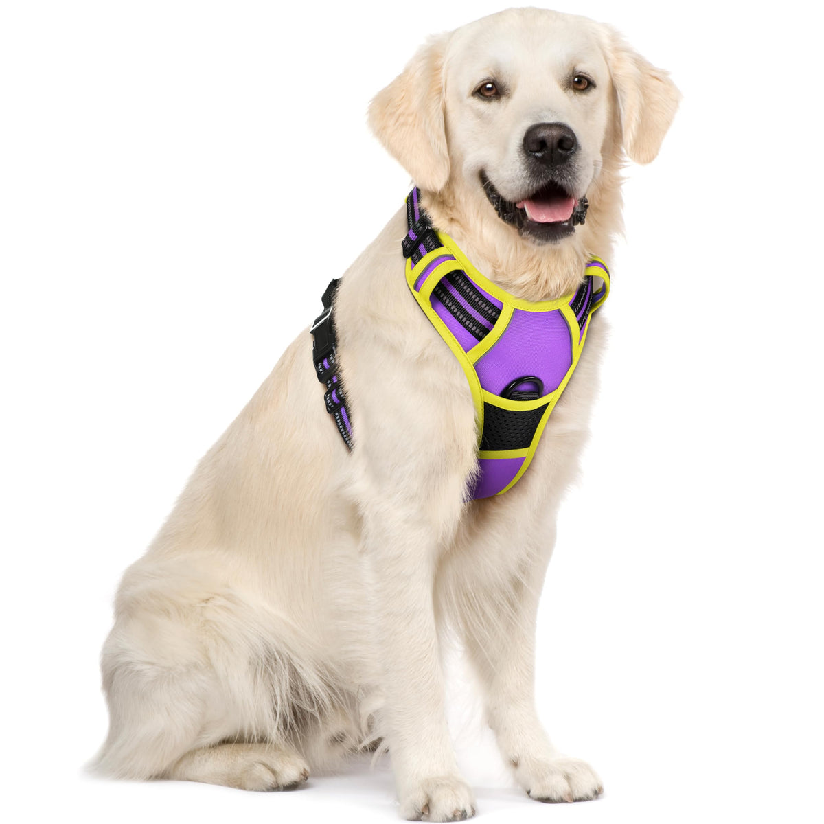 rabbitgoo Dog Harness No Pull with 2 Leash Clips, Adjustable Soft Padded, Reflective Oxford No Choke Pet Vest with Easy Control Handle for Large Dogs, Black, L