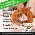 Cat Probiotics Crunchy Creamy Chews for Digestive Health - Cat Constipation + Occasional Diarrhea Relief - Daily Probiotics for Cats with Prebiotics Fiber Gut Flora Sensitive Stomach (90-Day Supply)