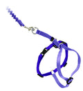 PetSafe Come with Me Kitty Harness and Bungee Leash Adjustable, Lightweight Harness for Cats Large, Lilac