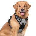 rabbitgoo Dog Harness No Pull with 2 Leash Clips, Adjustable Soft Padded, Reflective Oxford No Choke Pet Vest with Easy Control Handle for Medium Sized Dogs, Black, M