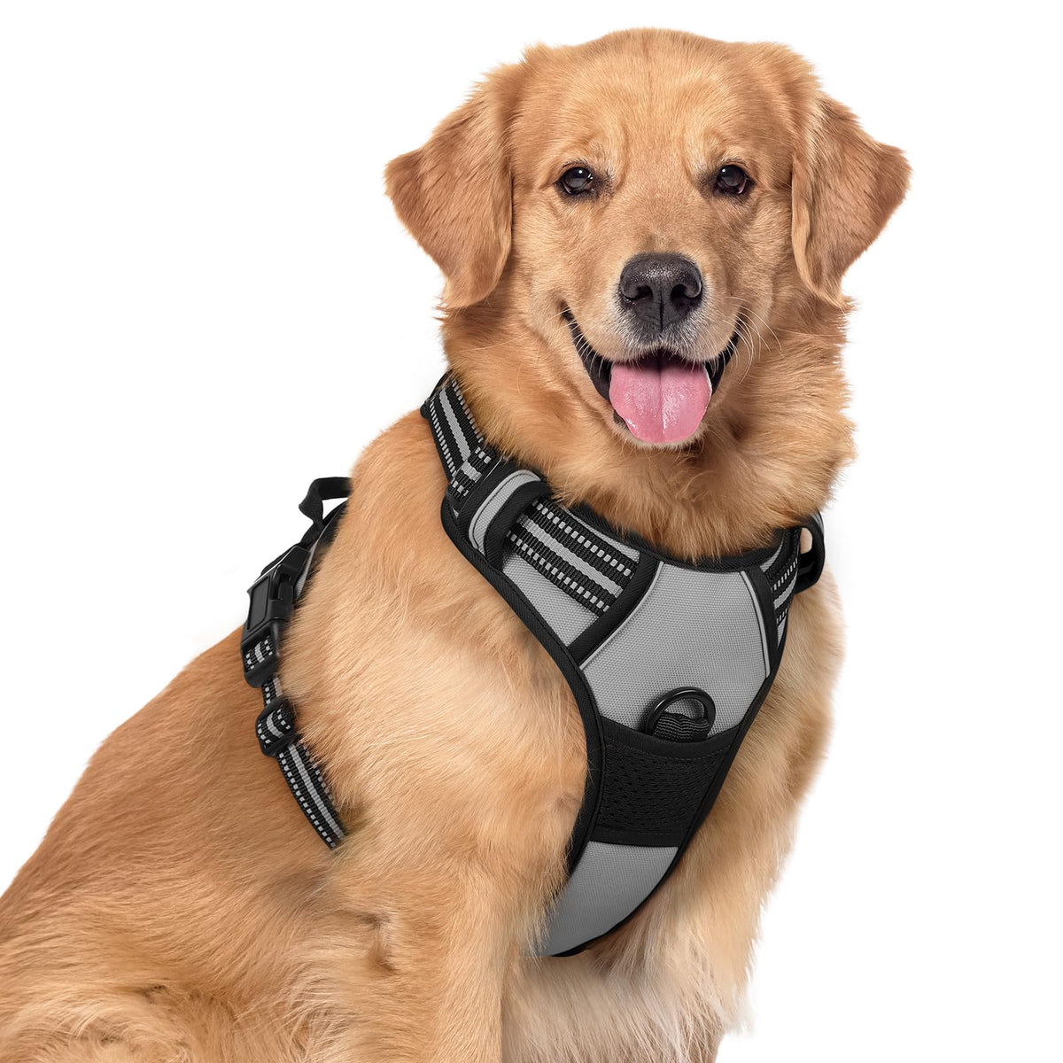 rabbitgoo Dog Harness No Pull with 2 Leash Clips, Adjustable Soft Padded, Reflective Oxford No Choke Pet Vest with Easy Control Handle for Medium Sized Dogs, Black, M