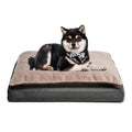 Amazon Basics Living Room Couch Dog Bed with Premium Foam, Non-Slip Bottom, Removable Washable Cover, Pressure-Relief Support for Dogs up to 55lbs, Large (36" x 27"), Grey