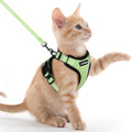 rabbitgoo Cat Harness and Leash Set, Escape Proof Vest, Black | Soft Breathable Mesh, Easy Adjustable Fit, Snap Buckles, Sturdy Clip, Reflective Strips, for Small & Average Cats Walks, Xs