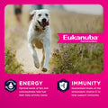 Eukanuba Adult Large Breed Dry Dog Food, 40 lb Bag