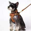 Beirui Cute Small Dog Harness Collar and Leash Set, Brown,XS,Chest 13-28"