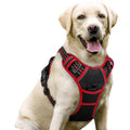 rabbitgoo Dog Harness No Pull with 2 Leash Clips, Adjustable Soft Padded, Reflective Oxford No Choke Pet Vest with Easy Control Handle for Medium Sized Dogs, Black, M