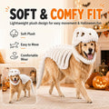 Dog Dinosaur Costume, Glow in the Dark Dinosaur Halloween Costume for Dogs (47.2inch(Big Dog))