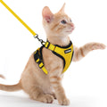 rabbitgoo Cat Harness and Leash Set, Escape Proof Vest, Black | Soft Breathable Mesh, Easy Adjustable Fit, Snap Buckles, Sturdy Clip, Reflective Strips, for Medium to Large Cats Walks, M