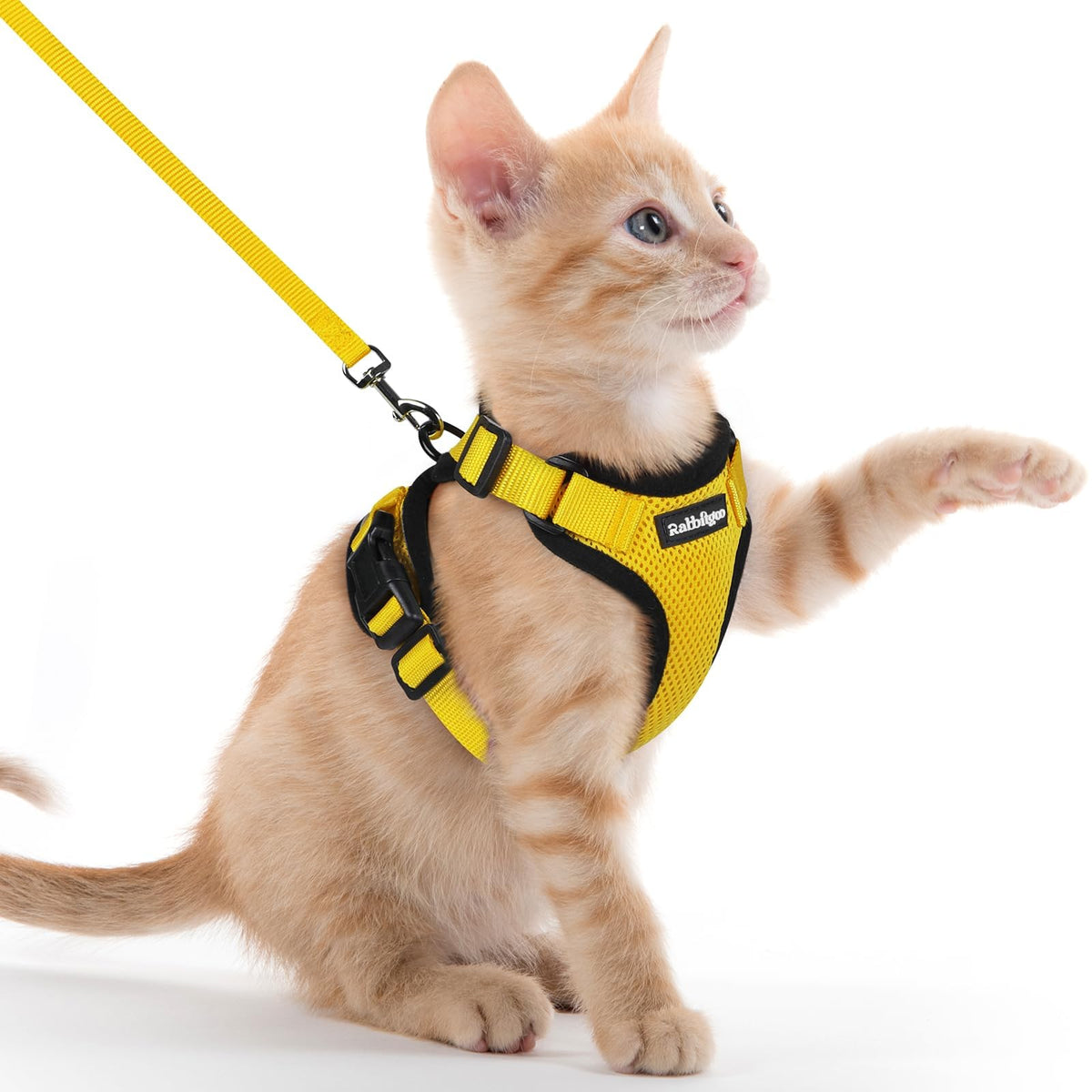 rabbitgoo Cat Harness and Leash Set, Escape Proof Vest, Black | Soft Breathable Mesh, Easy Adjustable Fit, Snap Buckles, Sturdy Clip, Reflective Strips, for Medium to Large Cats Walks, M