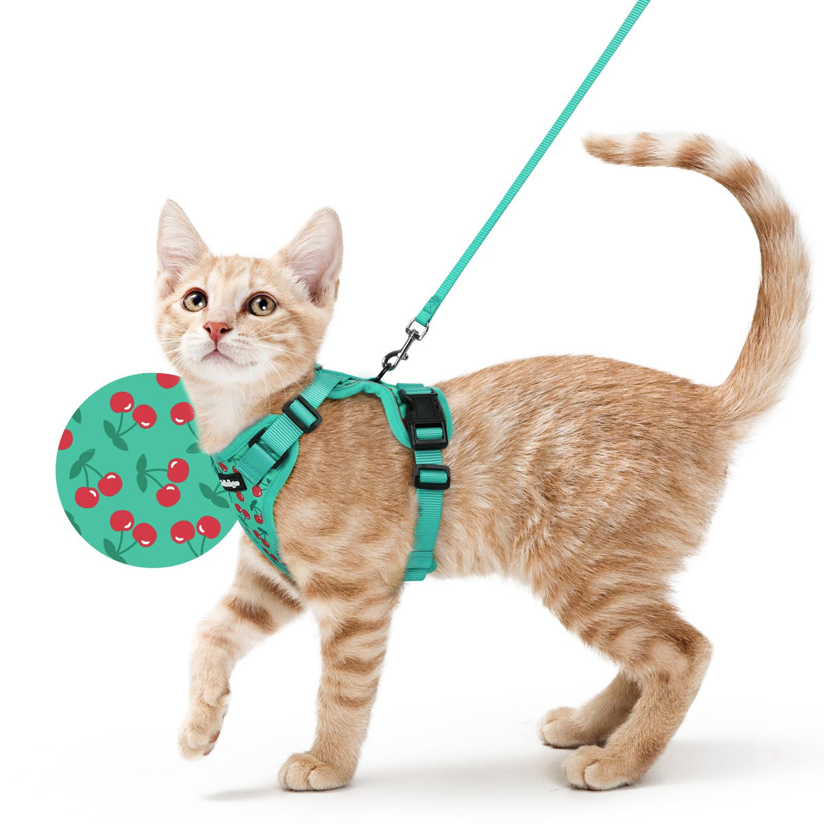 rabbitgoo Cat Harness and Leash Set, Escape Proof Vest, Black | Soft Breathable Mesh, Easy Adjustable Fit, Snap Buckles, Sturdy Clip, Reflective Strips, for Medium to Large Cats Walks, M