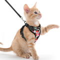 rabbitgoo Cat Harness and Leash Set, Escape Proof Vest, Black | Soft Breathable Mesh, Easy Adjustable Fit, Snap Buckles, Sturdy Clip, Reflective Strips, for Small & Average Cats Walks, Xs
