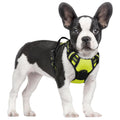 rabbitgoo Dog Harness No Pull with 2 Leash Clips, Adjustable Soft Padded, Reflective Oxford No Choke Pet Vest with Easy Control Handle for Medium Sized Dogs, Black, M