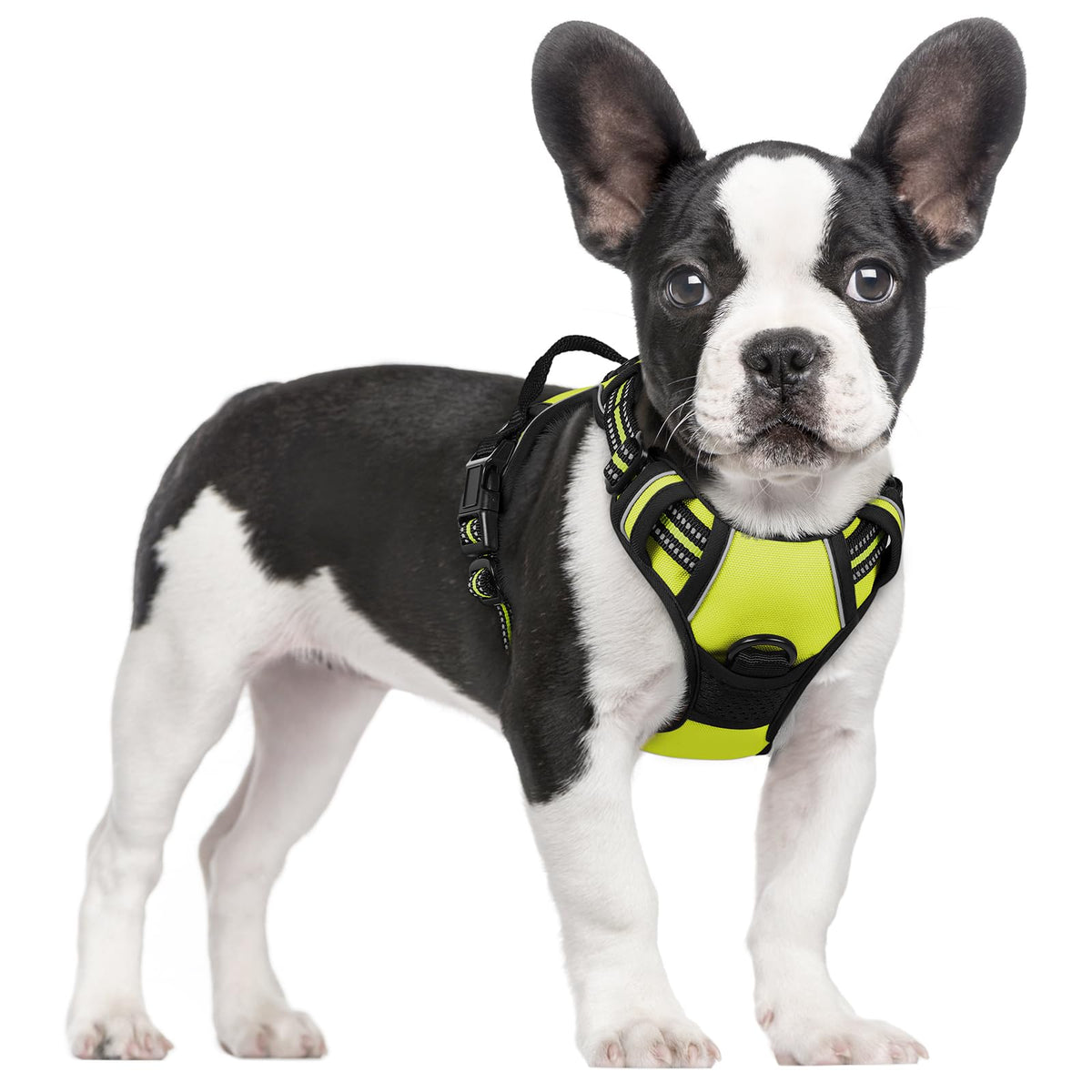 rabbitgoo Dog Harness No Pull with 2 Leash Clips, Adjustable Soft Padded, Reflective Oxford No Choke Pet Vest with Easy Control Handle for Medium Sized Dogs, Black, M