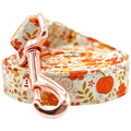 Lionheart glory Strong Dog Leash Fall Holiday Durable Dog Leashes with Comfortable Soft Handle for Small Medium and Large Girl or Boy Dogs